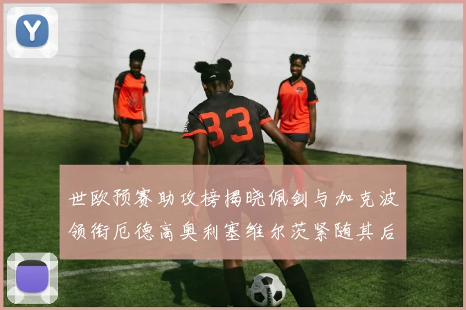 世欧预赛助攻榜揭晓佩剑与加克波领衔厄德高奥利塞维尔茨紧随其后