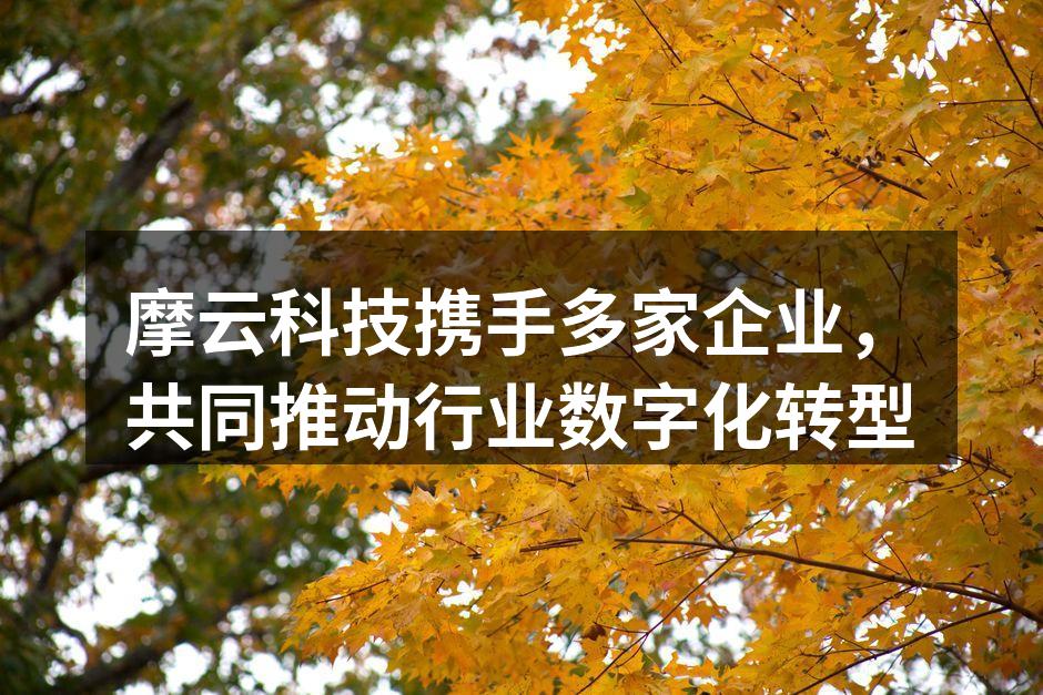 摩云科技携手多家企业，共同推动行业数字化转型